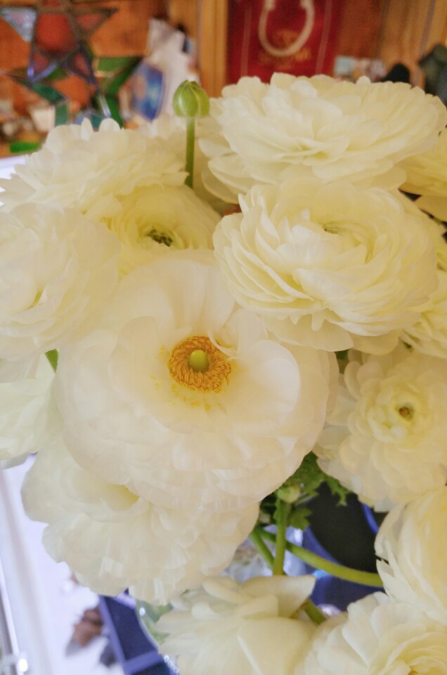 KakaoTalk_20160411_125513835